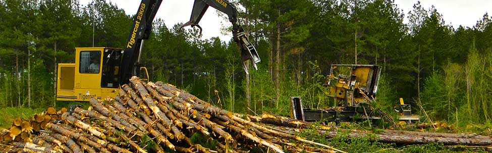 Crosby Resource Management | Forest Management & Real Estate